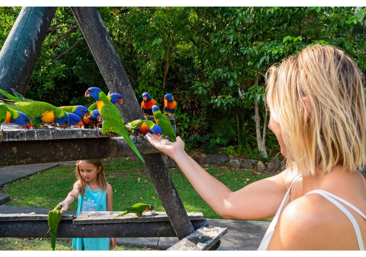 Discovery Parks - Airlie Beach Eksteriør bilde