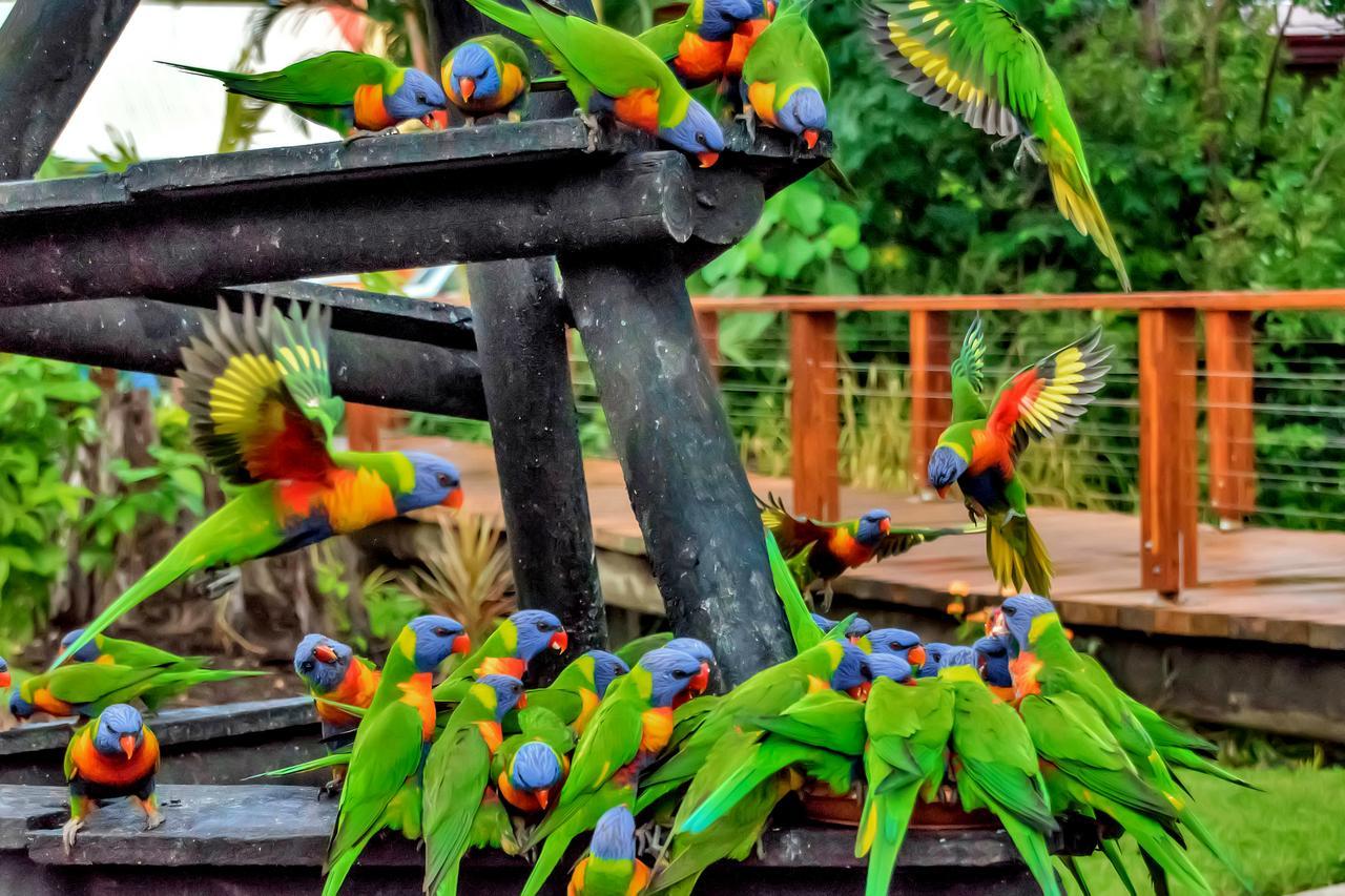 Discovery Parks - Airlie Beach Eksteriør bilde